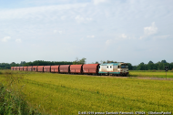 D.445.1019