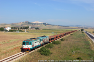 D.345.1067 e D.445 sconosciuto