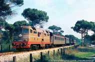 D.342 sconosciuto