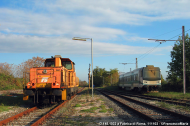 D.145.1033