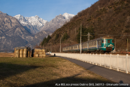 ALe 803 sconosciuta
