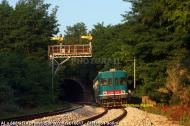 ALn 668.3174
