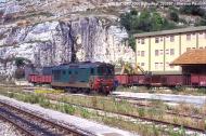 D.343.1006