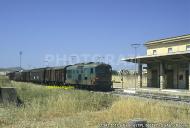 D.343.1017