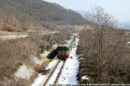 D.343.1030 e D.343.2026