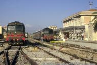 D.443.1005 e D.443.1008