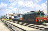 D.443.1007