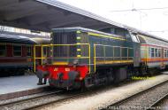 D.141.1003