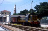 D.141.1004