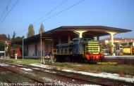 D.141.1015