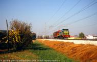 D.141.1015