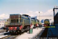 D.141.1011