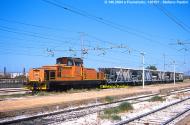 D.145.2004