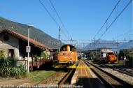 D.145.2062 e D.145.2058