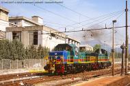 D.146.2001 e D.146.2002