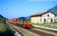 D.146.2013 e D.146.2002