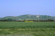 D.146 sconosciuto