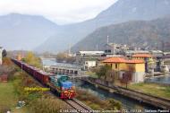 D.146.2008 e D.146 sconosciuto