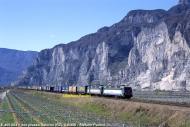 405xxxexxx-040408cosalorno.jpg