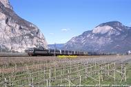 405xxxexxx-040408cosalorno2.jpg