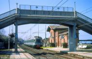 ALe 601 sconosciuta