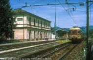 ALe 803.028