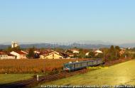 ALe 724.081